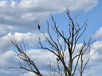 Radtour Oder Ostsee-110